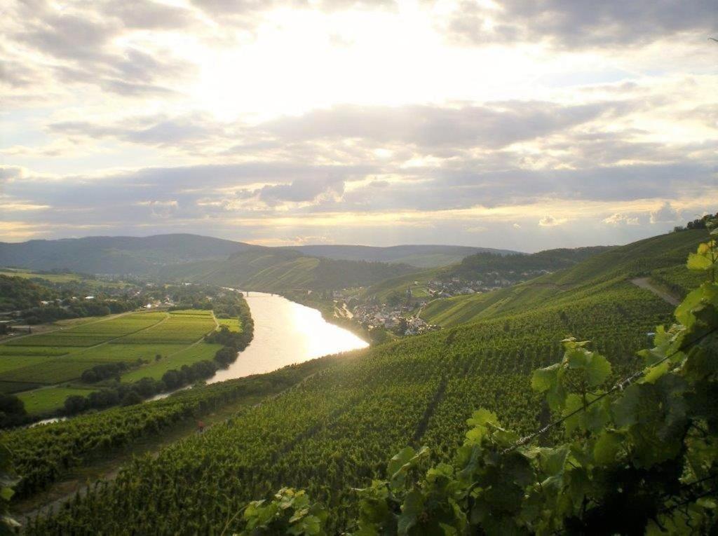 Ferienwohnungen "Moselblick" Lieser Dış mekan fotoğraf